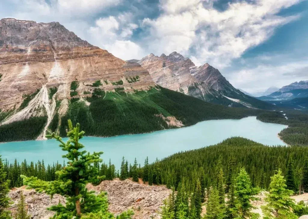 Canada, we’re here! - NOMAD