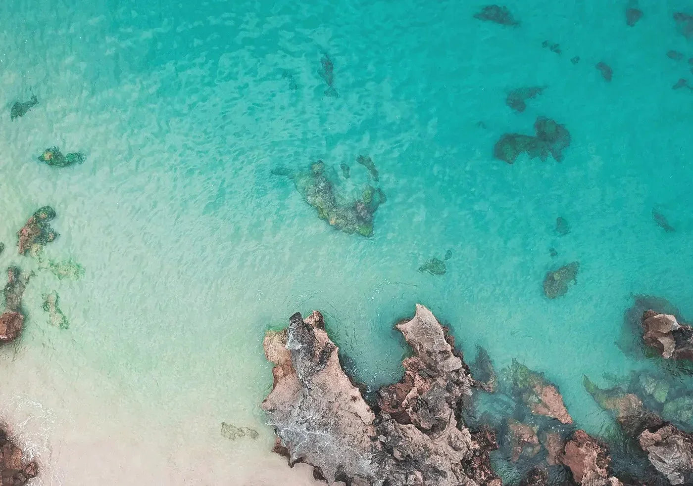 Our Partnership with 1% for the Planet - NOMAD